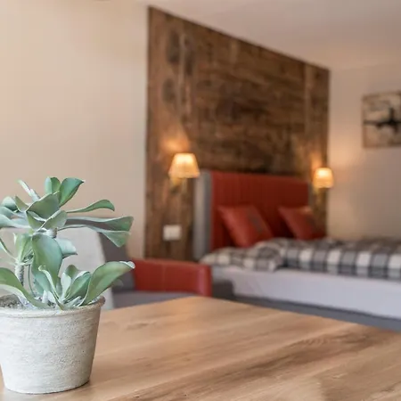 Apartment 1 Kitzbuhel